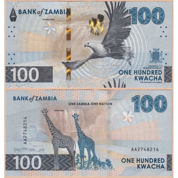 Zambija 100 kvačų 2024 p#W65 UNC