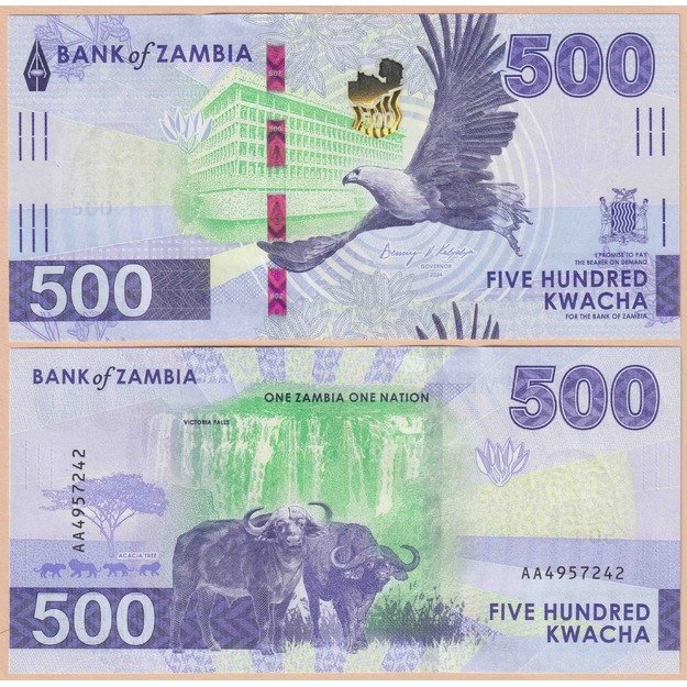 Zambija 500 kvačų 2024 p#W67 UNC