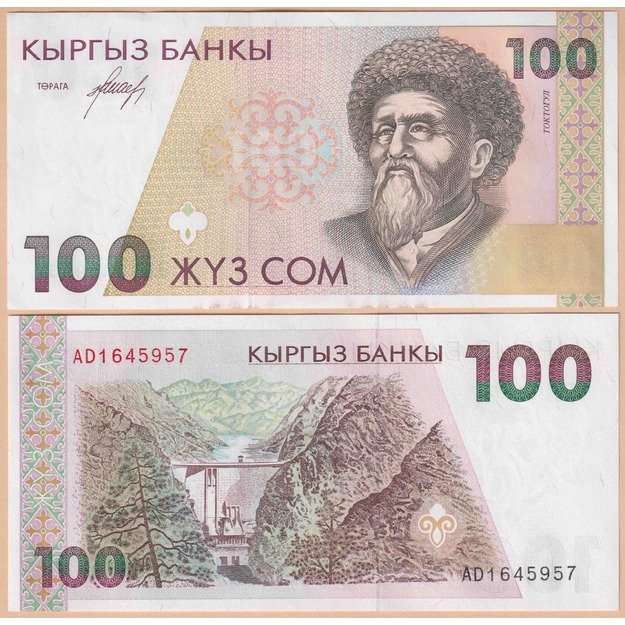 Kirgizstanas 100 somų 1994 p#12 UNC