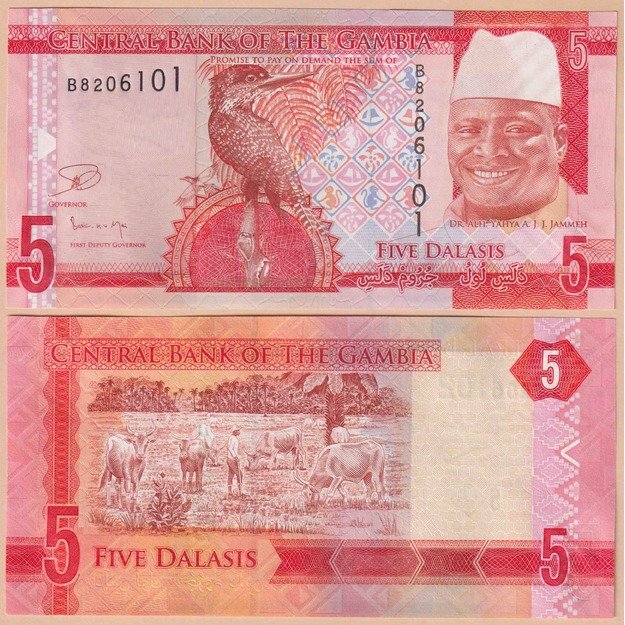 Gambia 5 dalasiai 2015 p#31 UNC