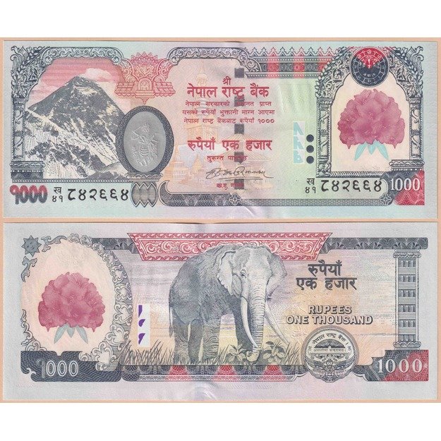 Nepalas 1000 rupijų 2008 p367b UNC