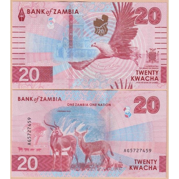 Zambija 20 kvačų 2024 p#W63 UNC