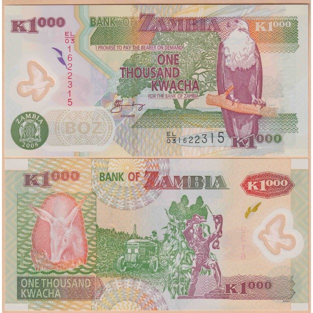 Zambija 1000 kvačų 2008 p#44f UNC
