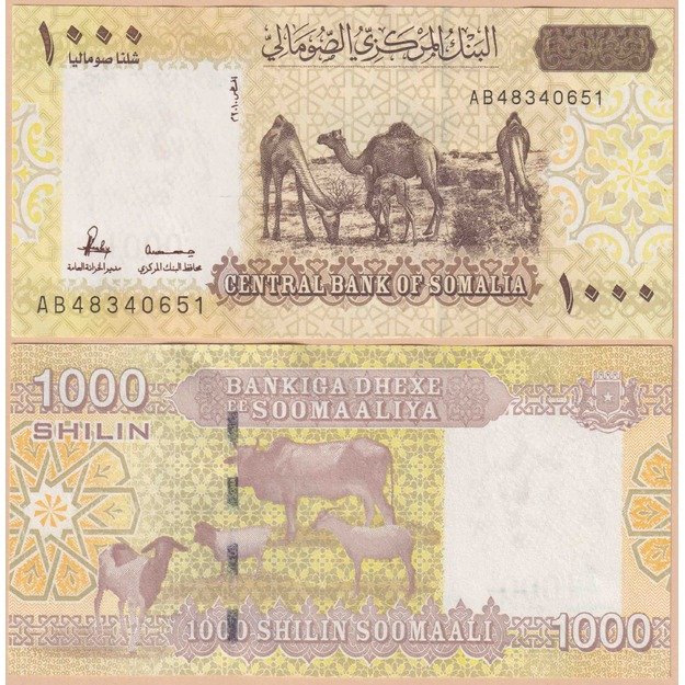 Somalis 1000 šilingų 2010 p#W38