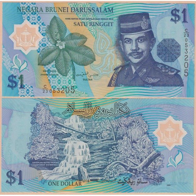 Brunėjus 1 ringitas 1996 p#22a UNC