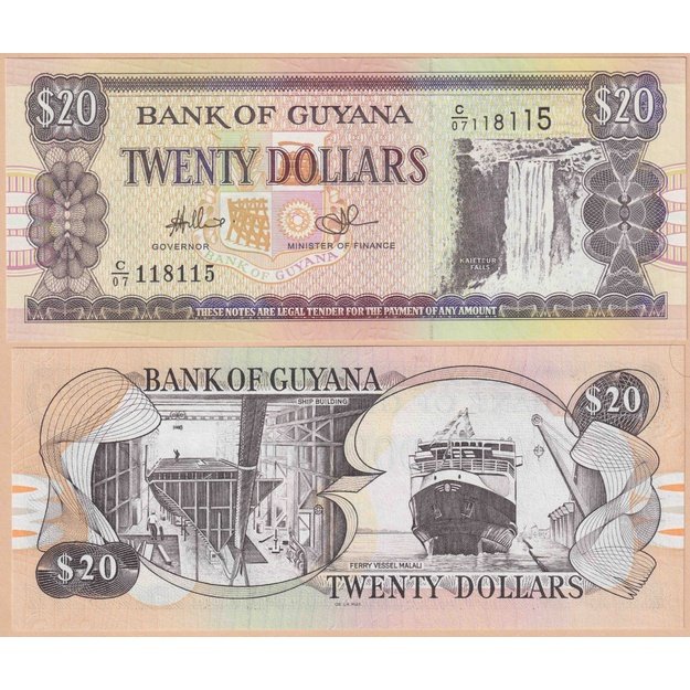 Gajana 20 dolerių 2009-2014 p#30e UNC