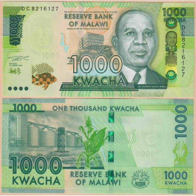 Malavis 1000 kvačų 2024 p#67 UNC