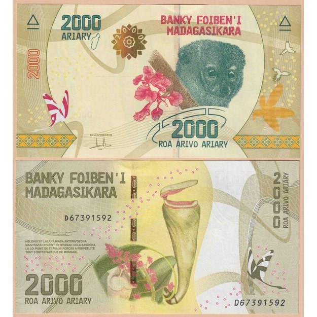 Madagaskaras 2000 ariarių 2017 (2022) p#101(2) UNC