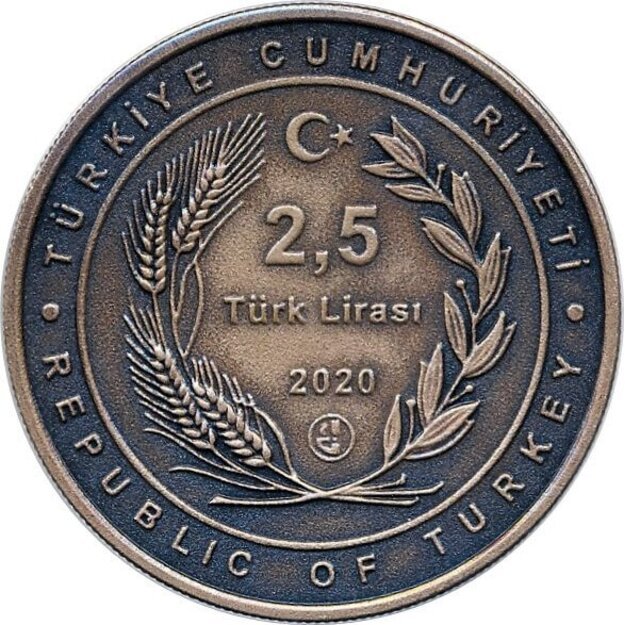 Turkija 2.5 liros 2020 Anadolu agentūra Bronza UNC