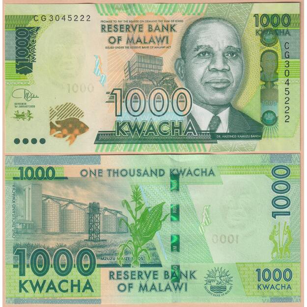 Malavis 1000 kvačų 2020 p#67 UNC